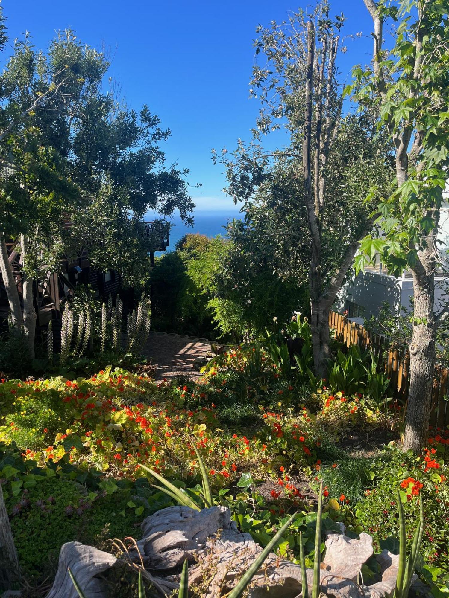 Peaceful Guest Suite With Balcony Views And Garden Setting Brenton-on-Sea Εξωτερικό φωτογραφία